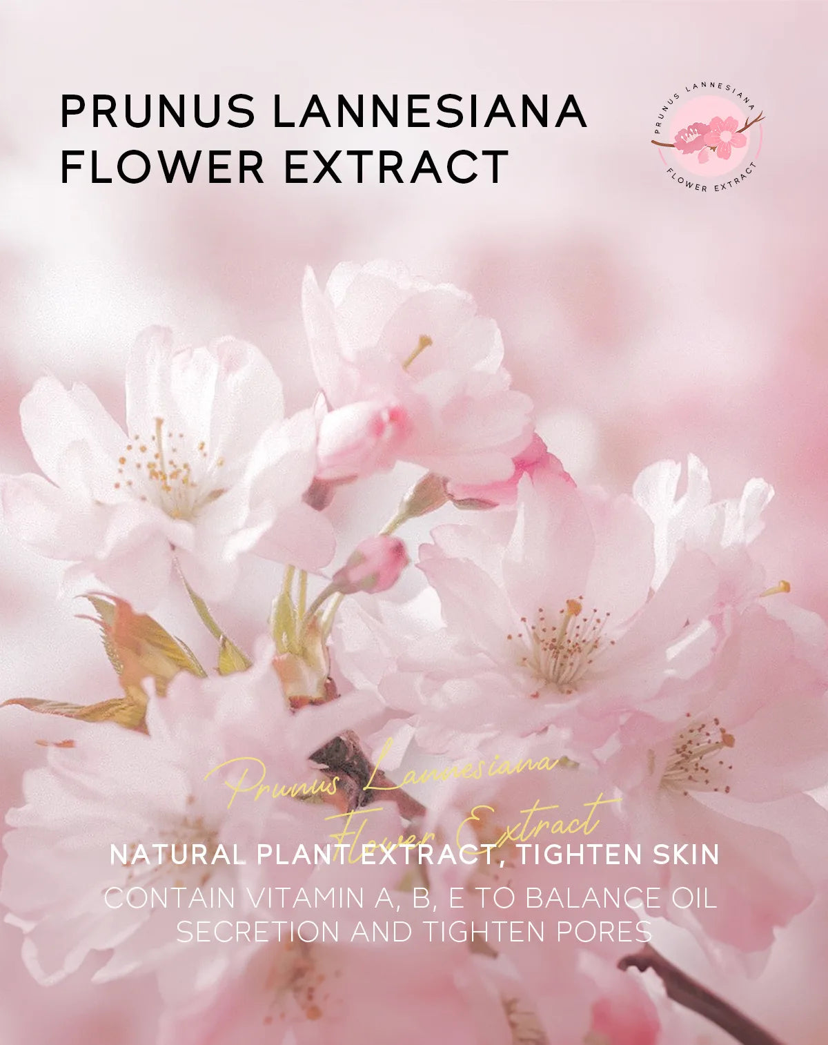 Sakura Peeling Nose Mask
