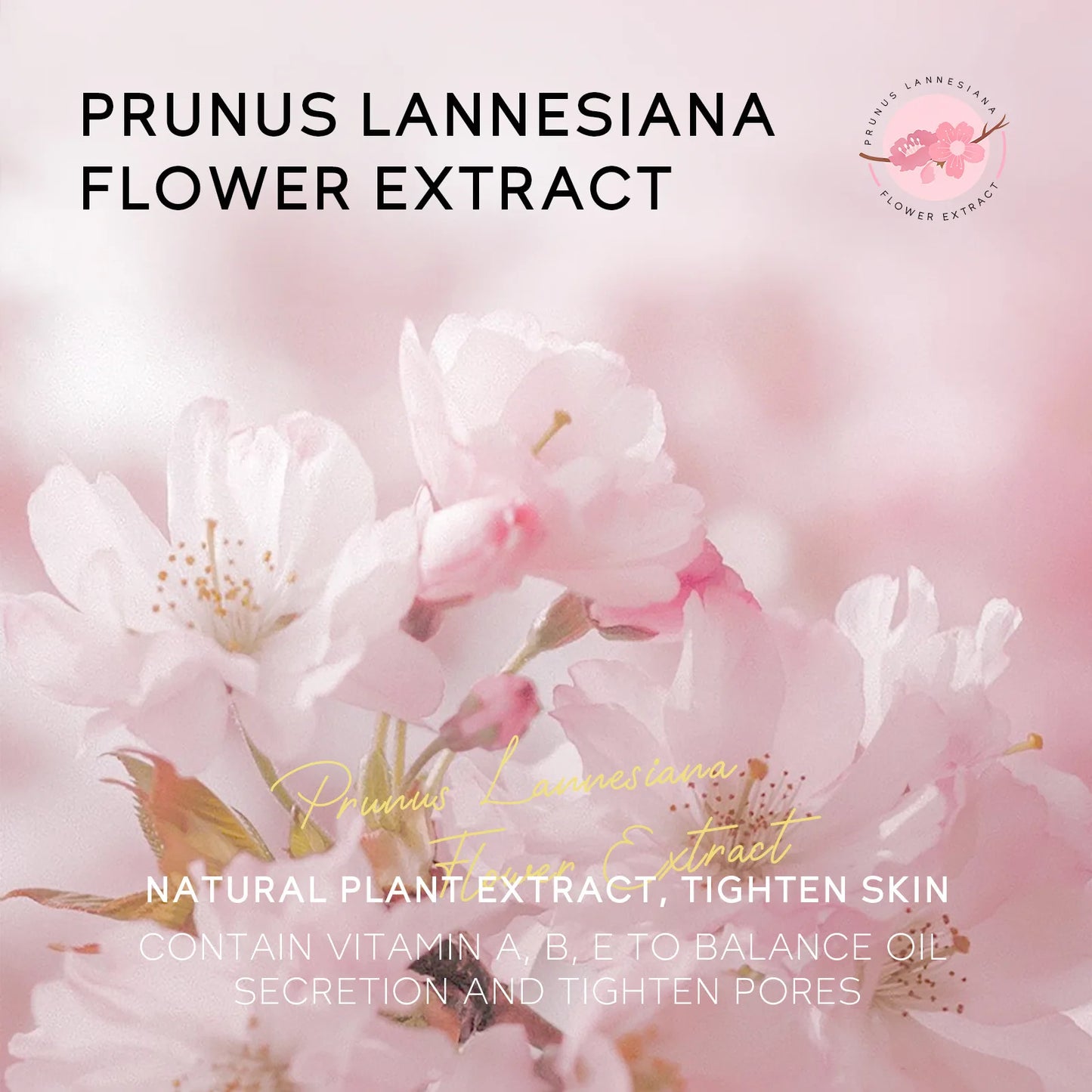 Sakura Peeling Nose Mask